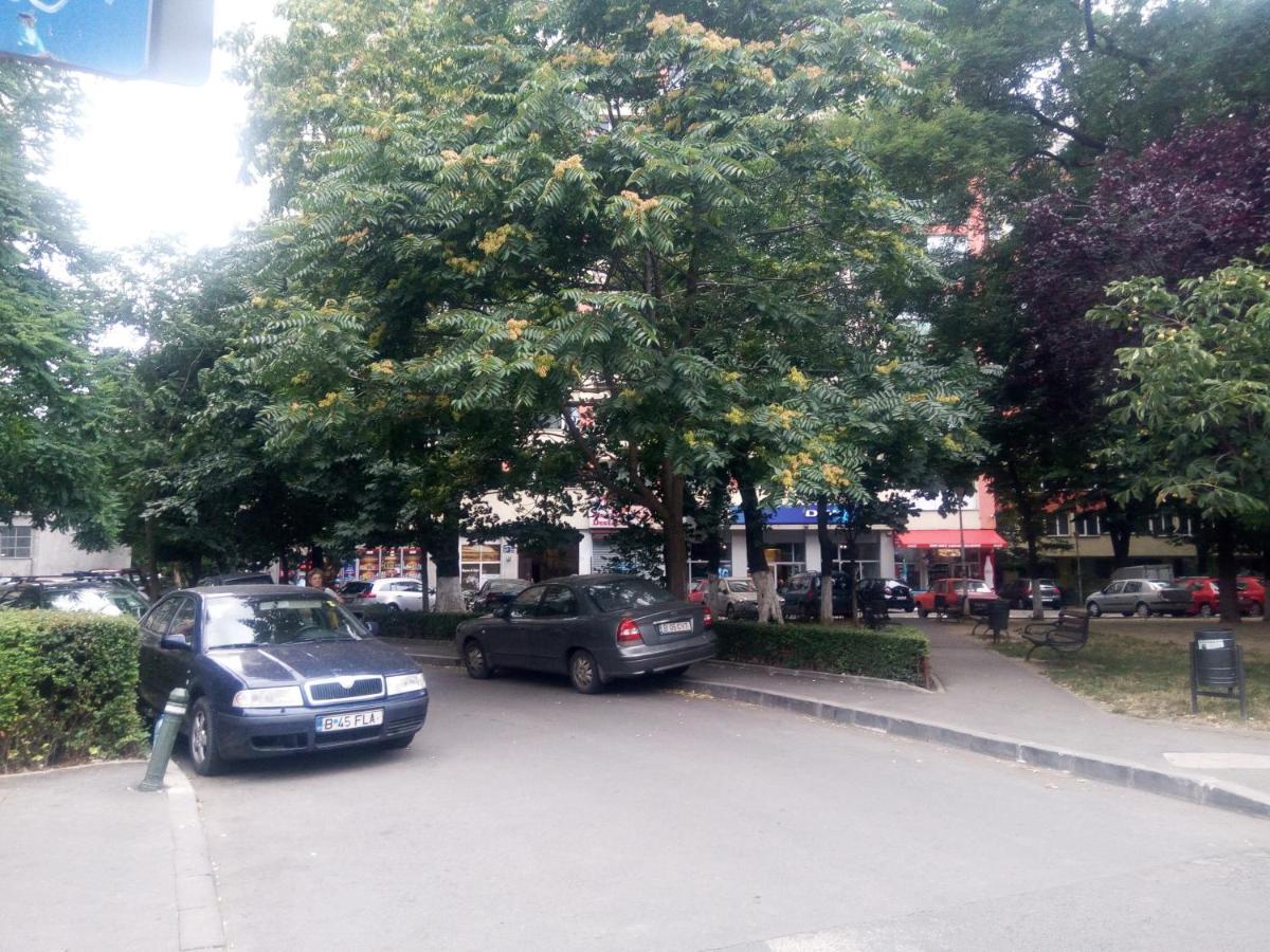Apartament Anca Bukares Bagian luar foto